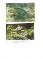 Lot 2 Cpm - IGUANE - GALAPAGOS ECUADOR - COSTA RICA - Ecuador