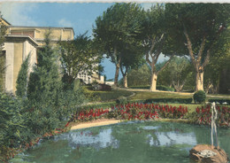 NARBONNE LE JARDIN DU PALAIS DU TRAVAIL 1967 - Narbonne