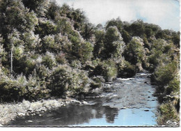 Chateauponsac - Belle Rivière à Truites, La Gartempe - Chateauponsac