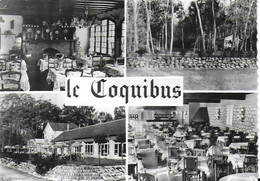 Milly La Forêt - Auberge " Le Coquibus" , Relais Gastronomique - Milly La Foret