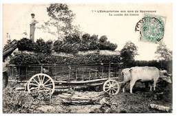 L'exploitation Des Bois En Bourgogne N°2 - La Rentrée Des écorces - Coll. J.D. (char à Bois) - Bourgogne