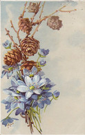 AK Blumen - Vergissmeinnicht - Tannenzapfen - Künstlerkarte - 1913 (59297) - Fleurs