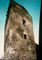 Delcampe - CARINOLA CASERTA TORRE CASTELLO BARONALE VB1970 IM4058 - Caserta