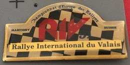 RALLYE INTERNATIONAL DU VALAIS - RIV 91 - 1991 - SUISSE - CHAMPIONNAT D'EUROPE DES RALLYES - SUISSE - VOITURE -AUTO-(29) - Rally