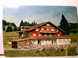 Hotel Berghus Arvenbüel Ob Amden Am Walesee. Schweiz. Bes. A. Rüedi - Gabriel. Alte AK Farbig, Gel. 1964. - Amden