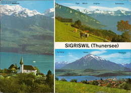 1117231 Sigriswil (Thunersee) Mehrbildkarte - Sigriswil