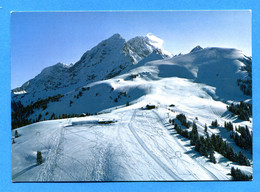 NOV391, Champs De Ski, Restaurant Des Chaux S/ Barboleusaz Près De Villars, 9788, GF, Circulée - La Chaux