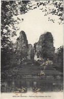 72    Brulon  -    Ruines Du Chateau  De L'ile - Brulon