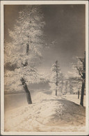 Eine Verschneite Landschaft Bei Wallisellen, 1925 - Ruegg Foto-AK - Wallisellen