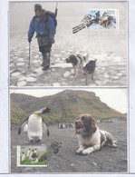 AAT 2015 The Dogs That Saved Macquarie Island 4v 4 Maxicards (AAT1 153) - Cartoline Maximum