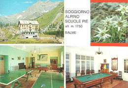 TABLE TENNIS PING PONG CUE SPORTS BILLIARD SPORT * SOGGIORNO ALPINO SCUOLE PIE BALME EDELWEISS * Grapholito 2573 * Italy - Tischtennis