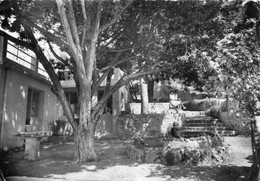 MONTAUROUX LA MARJOLAINE (UN COIN DU PARC) MAISON DE REPOS ET DE CONVALESCENCE POUR DAMES ET JEUNES FILLES (CARTE PHOTO) - Montauroux