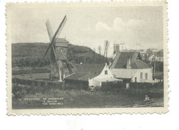 Delcampe - Wenduine Molen Wenduyne De Windmolen ( Publicité Au Dos ) - Wenduine