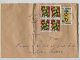 CAMEROUN  - Affranchissement Sur Lettre Pour La France - Cacao - Cameroun (1960-...)