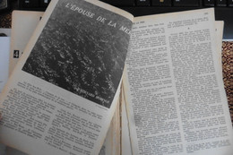 Article Revue Historia N°145 Décembre 1958 Sea Wife L'épouse De La Mer 9 Pages - Histoire