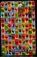 RUSSIA 2002 PHONECARD 101 TULIPS FOR THE BELOVED USED VF!! - Fleurs