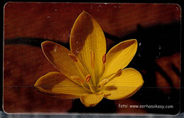 TURKEY 2003 PHONECARDS FLOWERS USED VF!! - Fleurs