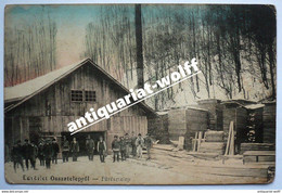 1910 Osa Oca Osszatelep / Volovets Zakarpattia Ukraine Svalyava - Ucrania