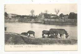 Cp ,92 , VILLENEUVE LA GARENNE, Les Berges De La SEINE , Chevaux , ânes , Vierge - Villeneuve La Garenne