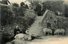 Guérande * La Foire Aux Cochons * Marché Marchands * Villageois En Coiffe - Guérande