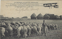 51 - (Marne) - Dans La Plaine De Sillery - H. FARMAN Se Rend Du Camp De Châlons à Reims - Berger - Moutons - Sillery