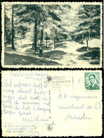 België 1960 Heide Klein Zwitserland - Kalmthout