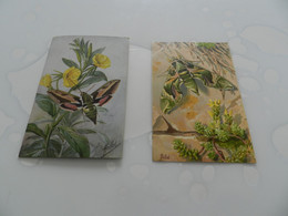 Lot  De 2  Cartes Postales  Sur    Les   Papillions - Papillons