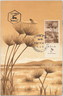 56433 -   ISRAEL - POSTAL HISTORY:  MAXIMUM CARD 1956 - AVIATION Nature - Cartes-maximum