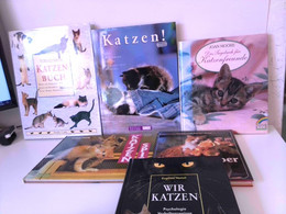 Konvolut Bestehend Aus 6 Bänden Zum Thema: Katzen / Sachbücher. - Animaux