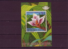 Afrique - République Guinée Equatoriale - Protection De La Nature  - BLF- 1046 - Equatorial Guinea