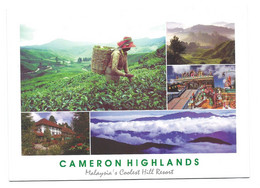 CAMERON HIGHLANDS.- MALAYSIA COOLEST HILL RESORT.- ( MALAYSIA ) - Malaysia