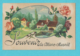 * Le Blanc Mesnil (Dép 93 - Seine Saint Denis - France) * Souvenir De Bland Mesnil, Fantaisie, Fleurs, Roses, Ferme - Le Blanc-Mesnil