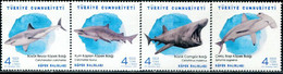 XH0195 Turkey 2021 Various Sea Animals Sharks 4V MNH - Nuovi