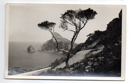 Espagne --FORMENTOR  POLLENSA-MALLORCA --1951--Vista  ......timbre,,cachet........à Saisir - Otros & Sin Clasificación