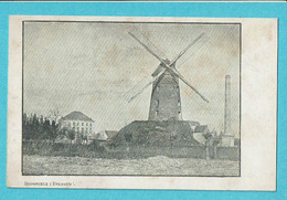 * Doornzele (Evergem - Oost Vlaanderen) * Le Moulin, Muhle, Mille, Molen, Zeldzaam, Unique, TOP, Prachtkaart - Evergem