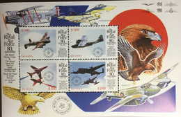 Guyana 1998 Royal Air Force Birds Aircraft Sheetlet MNH - Guyana (1966-...)