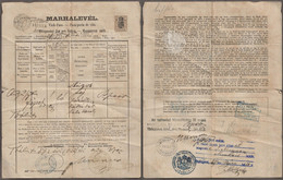 1882 Hungary PEST County Törökbálint / MUNKÁCS Ukraine - REVENUE TAX - CROWN Coat Of ARMS HORSE Animal Passport - Fiscaux