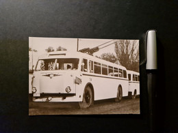 Oberleitungsbus 54, VEB „Ernst Grube“, Werdau,  Planet Verlag, Berlin, Foto-Repro, 10 X 14,5 Cm - Auto's