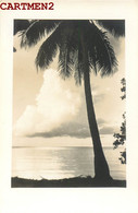 CARTE PHOTO : TAHITI POLYNESIE FRANCAISE " CRAKE " PAPEETE PIRAE ARUE MAHINA TAIARAPU PAPARA PAEA PUNAAUIA FAAA PAPARA - Tahiti