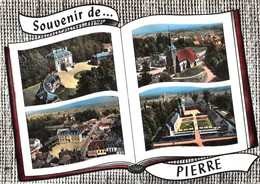 Pierre De Bresse Souvenir Multivues Livre Ouvert La Pie Lapie Château église Terrangeot - Sonstige Gemeinden