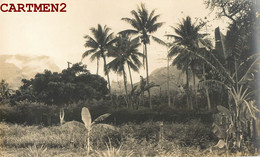 CARTE PHOTO : TAHITI POLYNESIE FRANCAISE " CRAKE " PAPEETE PIRAE ARUE MAHINA TAIARAPU PAPARA PAEA PUNAAUIA FAAA PAPARA - Tahiti