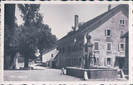 Gingins VD, Fontaine Et Hôtel De La Croix Blanche (662) - VD Vaud