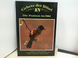 GEBETE DER BIBEL , DIE PSALMEN IM BILD - Sonstige & Ohne Zuordnung