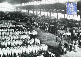 ► La Halle Aux Boeufs De La Villette Vers 1900  Devenue La Grande Halle - Piazze Di Mercato