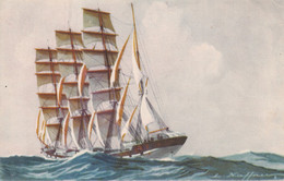 ILLUSTRATEUR HAFFNER(BATEAU DE VOILIER) - Haffner