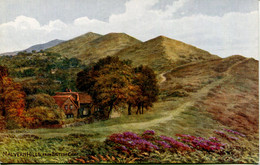 A R QUINTON - SALMON 3945 - MALVERN HILLS FROM BRITISH CAMP - Quinton, AR