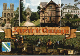 CHAMPAGNE  MULTI VUES - Champagne-Ardenne