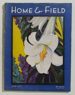 70374 HOME & FIELD Nr 6/1932 - Rivista Giardinaggio E Architettura - In Inglese - Art, Design, Décoration