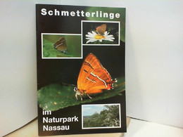 Schmetterlinge Im Naturpark - Tierwelt