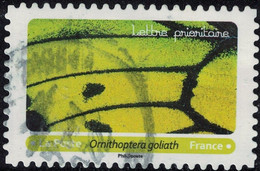 France 2020 Oblitéré Rond Used Effets Papillons Ornithoptera Goliath Y&T 1801 SU - Gebruikt